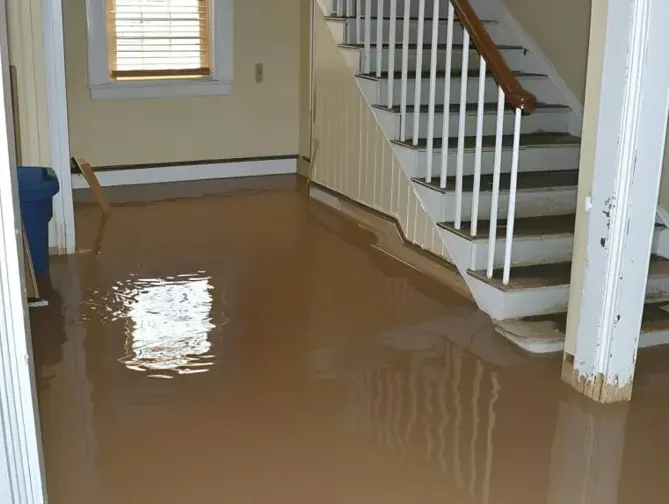 Muddy water covers a hallway at the foot of stairs