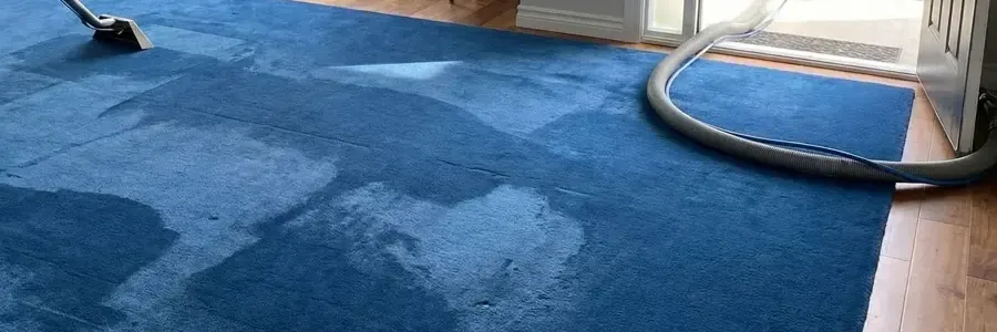 An extraction wand draws water from a soaked blue rug