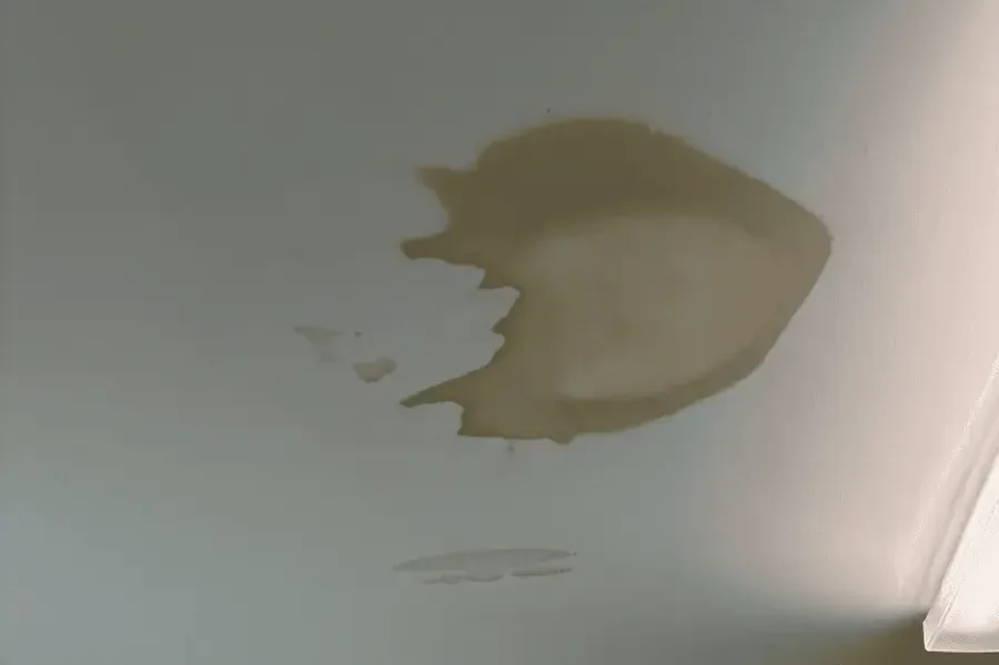 Brown water staining spreading across ceiling drywall